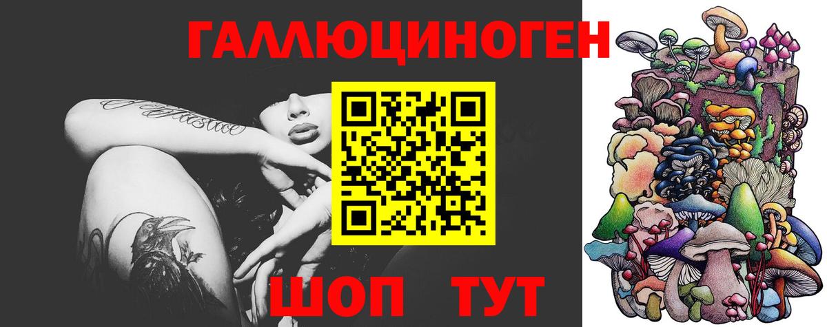 где можно купить   Галлюциногенные грибы Psilocybine cubensis  Вход с VPN  Мирный  Псилоцибиновые грибы GOLDEN TEACHER 