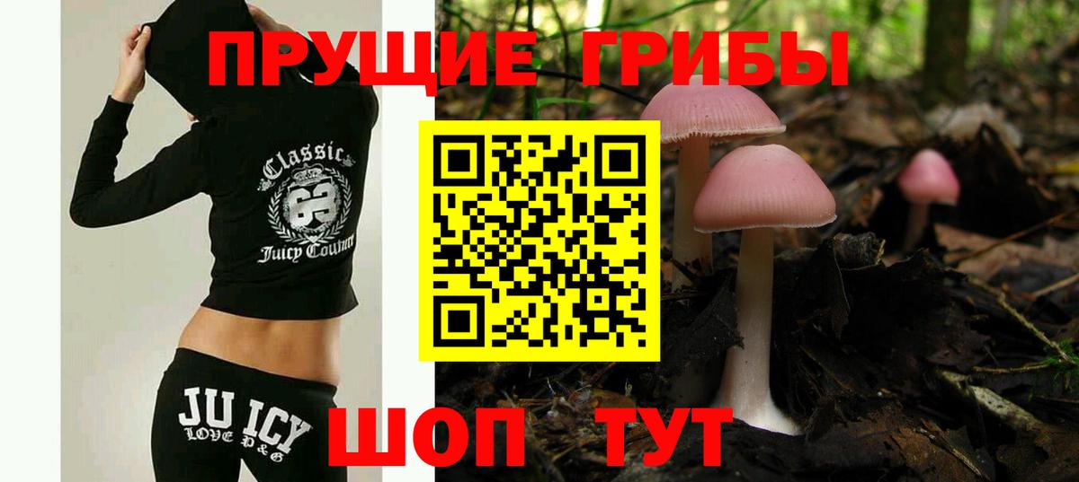 Псилоцибиновые грибы ЛСД Мирный